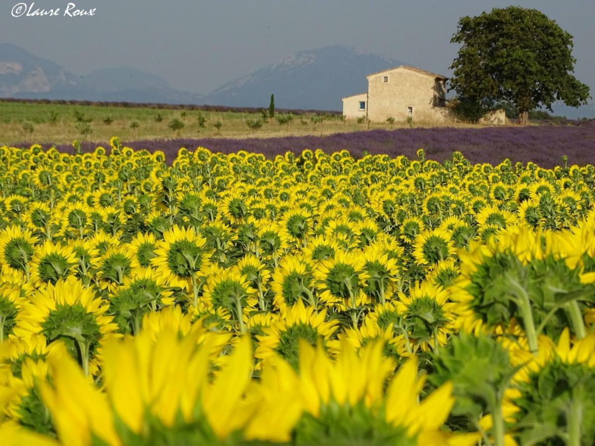 Les Secrets Du Mistral Bed and Breakfast Valensole Buitenkant foto